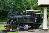 petit train a vapeur,Llanfair Caereinion,Welshpool,Powis,Pays de Galles,Royaume-uni,Grande Bretagne,Europe//Llanfair Light Railway,Llanfair Caereinion,Welshpool,Powis,Wales,United Kingdom,Great Britain,Europe