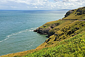 Great Orme cliffs,Llandudno,Wales,United Kingdom,Great Britain,Europe