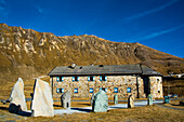  Haus Alpine, nature show, on the Großglocknerstraße, at about 2500 meters altitude, Salzburg, Austria 