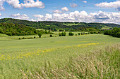  Landscape of the Green Belt near Ifta between Hesse and Thuringia, Germany   