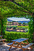  Impressions of a winery near Pinhao, Portugal 