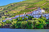  Vineyards and olive groves in the Pinhao region, Vila Real district, Portugal 