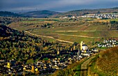  View from the vineyards near Kaub to the old town of Oberwesel, vineyards in the background, Upper Middle Rhine Valley, Rhineland Palatinate, Germany 