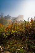  Old ruins of Lobdeburg, surrounded by misty autumn colors and dense vegetation, creates a mystical flair, Jena, Thuringia, Germany 