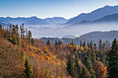 Blick von der Burgruine Hohenfreyberg im Ostallgäu bei Pfronten im Herbst auf die Alpen, Bayern, Deutschland, Europa