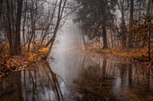  In the Au of Weilheim in autumn, Weilheim, Bavaria, Germany 