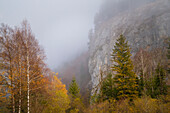 Nebelmorgen im Graswangtal im Herbst, Oberammergau, Bayern, Deutschland