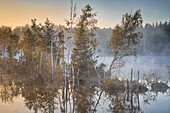  Morning mist in the moor, Weilheim, Upper Bavaria, Bavaria, Germany 