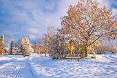  Winter morning in the Weilheimer Moos, Weilheim, Bavaria, Germany, Europe 