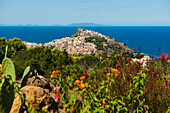  Picturesque seaside town, Castelsardo, Sardinia, Italy 