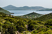 Küste, Capo Caccia, bei Alghero, Sardinien, Italien