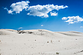  Lonely white sandy beach with dunes, Porto Pino, Sardinia, south coast, Italy 