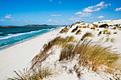  Lonely white sandy beach with dunes, Porto Pino, Sardinia, south coast, Italy 