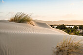  Lonely white sandy beach with dunes, sunrise, Porto Pino, Sardinia, south coast, Italy 