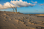  Lonely white sandy beach with dunes, sunrise, Porto Pino, Sardinia, south coast, Italy 