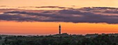  Boardwalks through dune landscape at sunset, view of cross-marked lights, heathland, heath, heather, panorama, hiking trail, Amrum Dunes nature reserve, hiker, dune, North Frisian island, North Frisia, Schleswig-Holstein, Schleswig-Holstein Wadden Sea National Park, Amrum, \n 