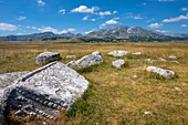  Stećci u Barama Žugića, Ancient tombs from the Middle Ages, Gravestones, UNESCO World Heritage Site, Barama Žugića Region, Nikšić, Montenegro, Durmitor Mountains, Durmitor National Park, Novakovići, Natural Landscape, Landscape, Žabljak Montenegro 