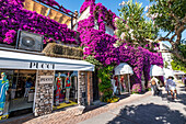  Shops in the streets of Capri, Capri, Gulf of Naples, Italy 