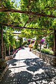  Arcade of the Hotel Luna on Capri, Capri, Gulf of Naples, Italy 