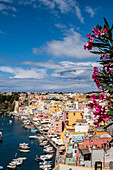 Blick über Procida und Marina Corricella von Terra Murata, Insel Procida, Golf von Neapel, Italien