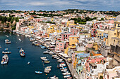 Blick über Procida und Marina Corricella von Terra Murata, Insel Procida, Golf von Neapel, Italien