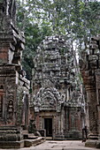  Trees growing over ruins of Ta Prohm temple in the Hindu-Buddhist temple complex of Angkor Wat, Angkor Wat, near Siem Reap, Siem Reap Province, Cambodia, Asia 