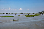  Longtail boat in the flood plains of Tonle Sap Lake, near Pralay Meas, Kampong Leaeng District, Kampong Chhnang, Cambodia, Asia 