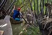  Excursion with a sampan boat through coconut trees and jungle on a branch of the Mekong in the hinterland of Ben Tre in the Mekong Delta, Quoi Son, Chau Thanh, Ben Tre, Vietnam, Asia 