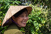  Smiling woman with traditional Vietnamese conical hat, Quoi Son, Chau Thanh, Ben Tre, Vietnam, Asia 