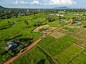  Aerial view of tuk-tuks driving on a dirt road through rice fields, Srae Thmei, Rolea B&#39;ier District, Kampong Chhnang, Cambodia, Asia 