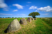 Hünengräber Riesenberg bei Nobbin auf Wittow, jungsteinzeitliche Grabanlage, Großsteingrab Nobbin, Hochuferweg der Steilküste der Tromper Wiek, Rügen, Deutschland