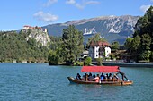  at Lake Bled with lake and castle, Bled, Julian Alps, Slovenia 