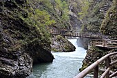  In the Vintgar Gorge near Bled, Julian Alps, Slovenia 