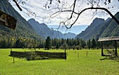  in the Radovna Valley near Kranjska Gora, Julian Alps, Slovenia 