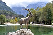  at Lake Jasna near Kranjska Gora, Julian Alps, Slovenia 