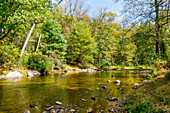  Deer Creek in Rocks State Park near Pylesville, Harford County, Maryland, USA 