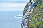 Norwegen, Insel Runde, Vogelfelsen, Basstölpel und Kreuzfahrtschiff