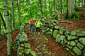 Mann und Frau wandern auf mit Steinmauer gefasstem Weg durch Laubwald, GTA, Grande Traversée des Alpes, Biella, Alpi Biellesi, Walliser Alpen, Piemont, Italien