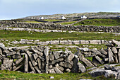 dry stone walls, Inishmore, the largest of the Aran Islands, Galway Bay, West Coast, Republic of Ireland, North-western Europe