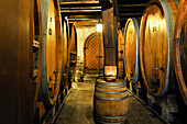 cellar of Daley Estate in Vineyard terraces of Lavaux on the bank of Leman Lake,around Lausanne,Canton of Vaud,Switzerland,Europe