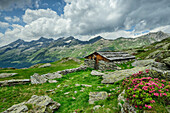  Shingle-covered alpine pasture with mountains of the Rieserferner Group in the background, Knuttental, Rieserferner Group, South Tyrol, Italy 