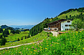  Priener Hütte with flower meadow in the foreground, Priener Hütte, Geigelstein, Chiemgau Alps, Upper Bavaria, Bavaria, Germany 