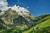  Alpine pastures in the Val Ferret below Aiguille Rouge de Triolet and Mont Dolent, Val Ferret, Tour du Mont Blanc, Mont Blanc Group, Graian Alps, Aosta Valley, Italy 