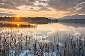 Sonnenaufgang am Staffelsee, Uffing, Allgäu, Bayern, Deutschland