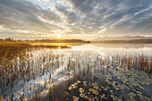  Sunrise at Staffelsee, Uffing, Allgäu, Bavaria, Germany 