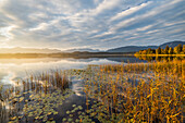  Sunrise at Staffelsee, Uffing, Allgäu, Bavaria, Germany 