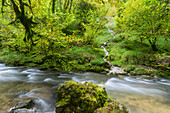  Hérisson River, Menétrux-en-Joux, Jura, France 