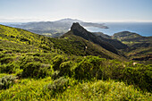  View over the bay of Portoferraio, Elba Island, Tuscany, Italy 