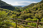  View from the Madonna di Monserrato chapel, Elba Island, Tuscany, Italy 