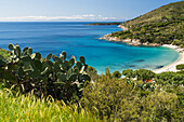  View of the bay of Cavoli, Elba Island, Tuscany, Italy 